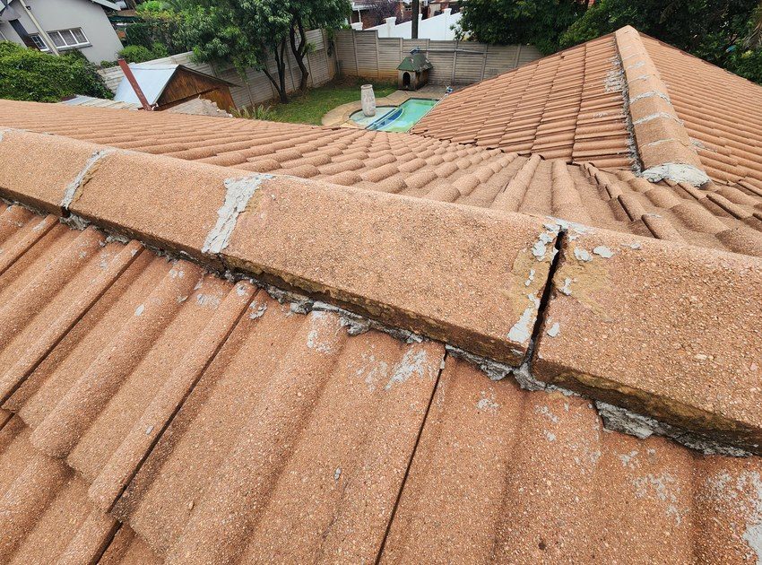 Tile Roof Repair Painting in Waterkloof